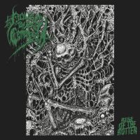 HOUSE BY THE CEMETARY (Swe) - Rise of the Rotten, LP